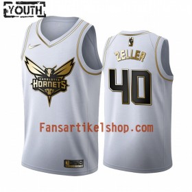 NBA Charlotte Hornets Trikot Cody Zeller 40 Nike 2019-2020 Weiß Golden Edition Swingman - Kinder